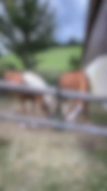 Teste Kristallkraft No2