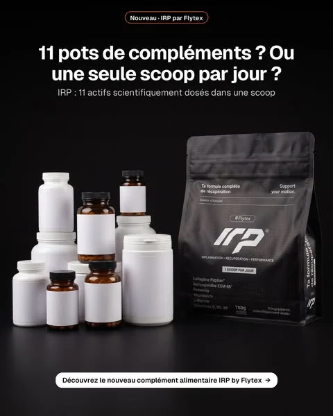 11 actifs. Un scoop par jour.