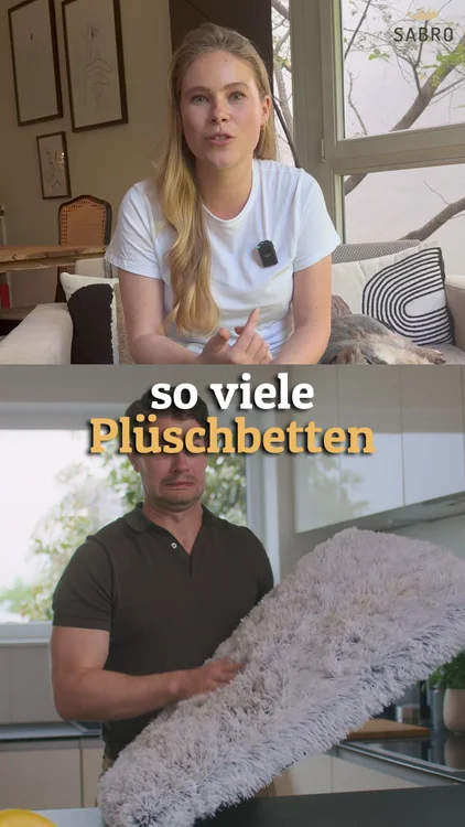 Gesunder Schlaf für deine Fellnase! 🐾