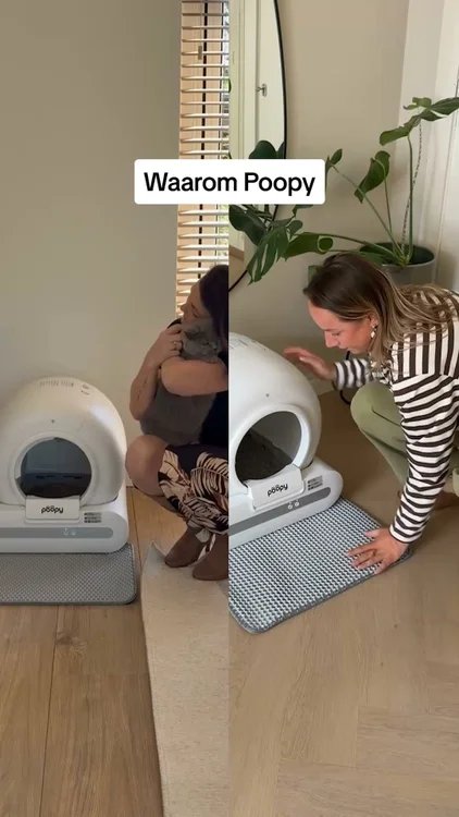 De best beoordeelde kattenbak