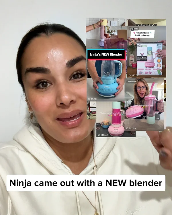 Meet the Ninja BlendBOSS
