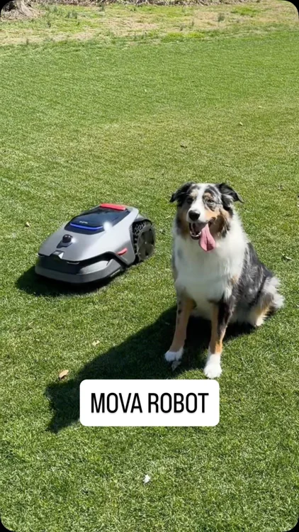 This robot tech is getting fancy! ⤵️

Comment “robot” and I’ll send you a link to learn more!

I’ve set some robot mowers up in the past and it took way too long- this was no joke sub 15minutes.

Or search MOVA Robotic Lawn Mower LiDAX Ultra 2000” on Amazon or Google and enjoy a $300 off Spring Sale discount!! 

#movapartner #MOVA #MOVALiDaxUltra2000
#MOVALawnMower #MOVAUltraSeries