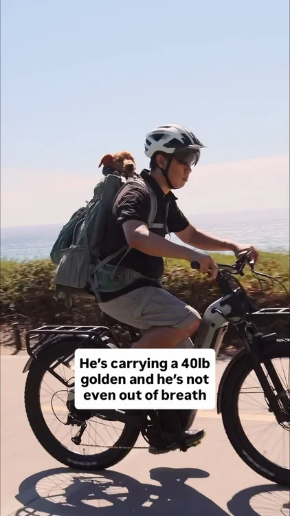 When your favorite passenger weighs 40 pounds… but still insists on coming along for the ride. 😂 

Bike rides used to be a pretty special occasion for Chance. Now, he gets to be part of the adventure—and judging by that face, he’s very happy about it. 🤎 

The @newurtopia Carbon Atom makes it possible for Dog Dad to handle the hills and the extra passenger while we enjoy more of the places we love together. More exploring. More fresh air. More adventures with Chance. 

#Urtopia #UrtopiaCarbonAtom #DogBikeRide #longrangeebike #allroadebike