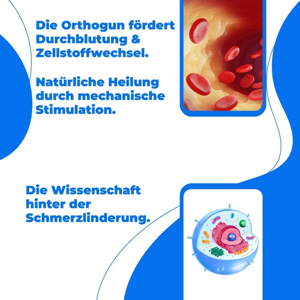 📱 Inklusive kostenloser App mit über 50 Videos zur Anwendung an jeder Körperstelle. 

🇩🇪  Kostenloser Versand aus Deutschland
✅ 30 Tage Geld-zurück-Garantie
✅ 2 Jahre Garantie
🇩🇪  24/7 Deutschsprachiger Kundensupport

Hol dir jetzt deine OrthoGun auf:
👉 orthomechanik.de/orthogun-3
