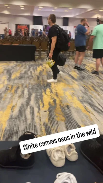 White canvas osos in the wild