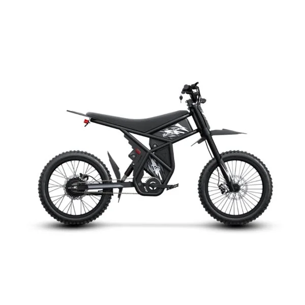 GT73 Electric Motorbike