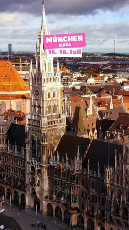 Blitzverkauf ab 0,99€ 🪴