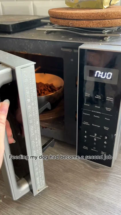 Feeding Your Dog Shouldn’t Be a Second Job 🐾