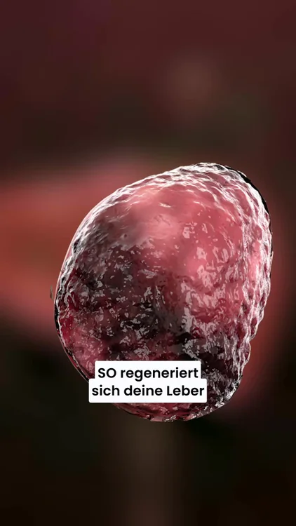 Leber-Detox aus der Natur!