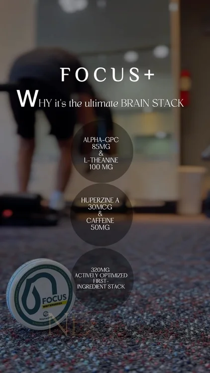 The ultimate brain stack 🧠 ⚡️
Wintergreen Focus+