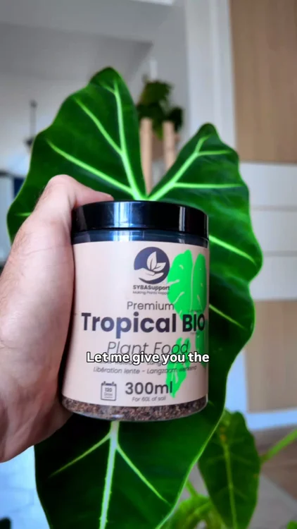 Rated 4.8/5 on trustpilot (⭐ 5000+)