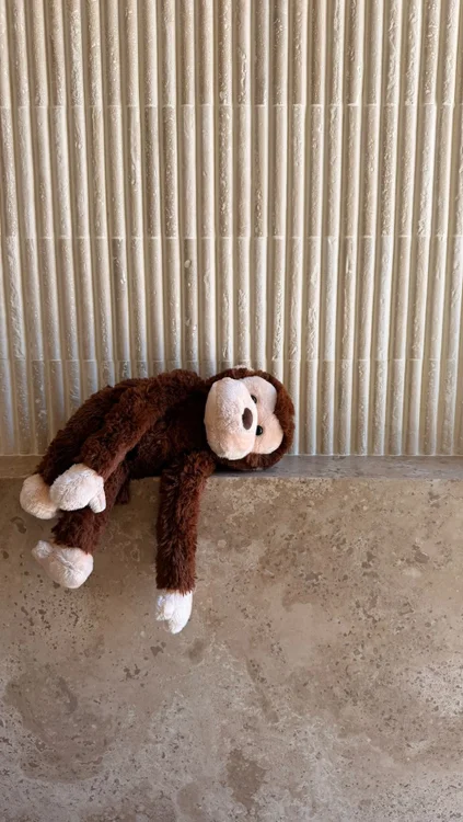 Going bananas over the newest member of the family 🐒