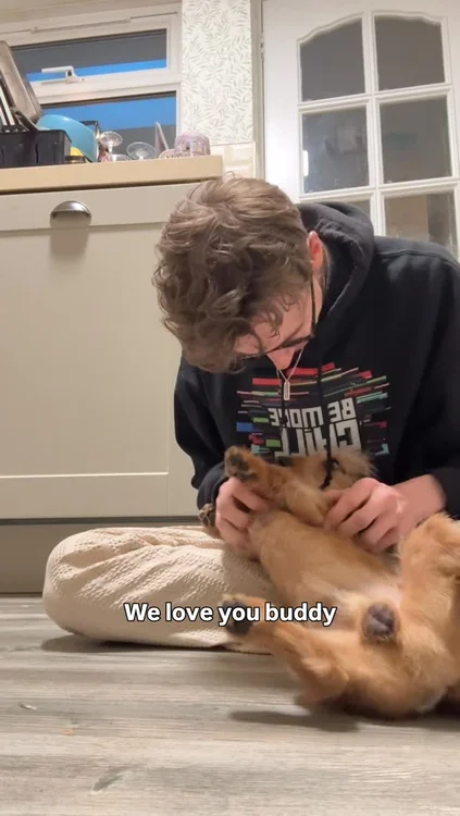 It was a weirdly validating moment to have our Vet tell us that whatever we’re doing; KEEP GOING. 🫣

We’re brushing his teeth right, feeding him well and he was a golden boy in the vet (after having been a bit of a reactive pup when we adopted him). All 3 of us have worked so hard and these moments of magic make it so worth it.✨

Sydney’s Diet below:

2x 70g of @wilsonspetfood - his main meals at breakfast and dinner.
A good handful of Cold Pressed food as ‘treats’ for good behaviour and training throughout the day. 

‘A good handful’ is vague BUT allows for it to be lower on some days and really high on training days. It balances out over the week.

Adopting @sydneysausagediaries is the best decision @kirstymaclaren and I have made since I proposed 💍. I love our quirky little family 🎉

#doglife #dachshund #dogsofinstagram #dogtraining