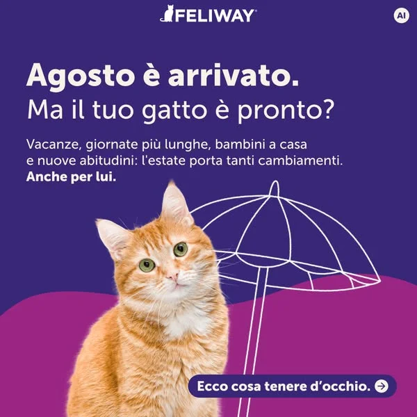 Feliway Italia