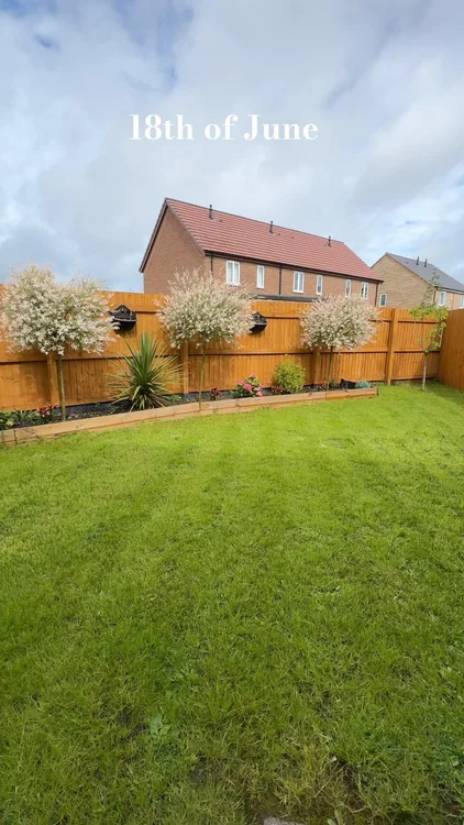 Lawn transformation in almost 4 weeks! Just imagine how will be later🤩 #lawn #lawntransformation #garden #home #gardeninspo 
AD