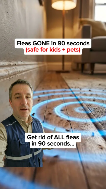 Banish Fleas For Good