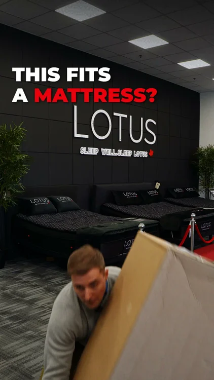 A Whole Mattress. In a Box. Today.