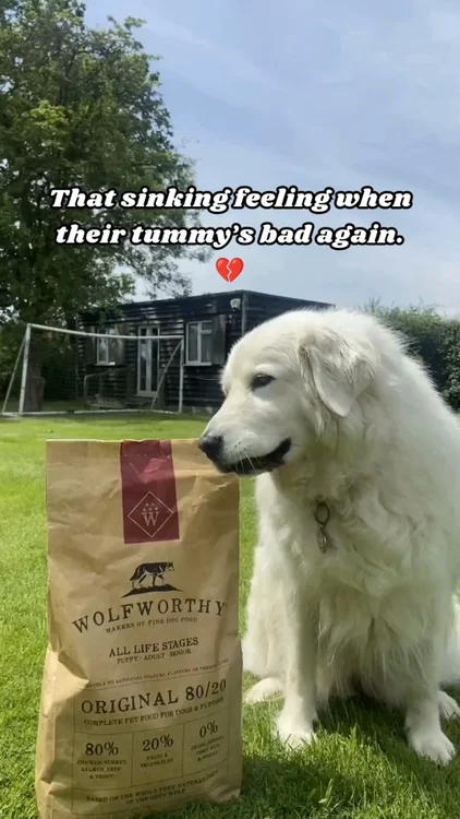 Try Wolfworthy for Just £1.99 🐾