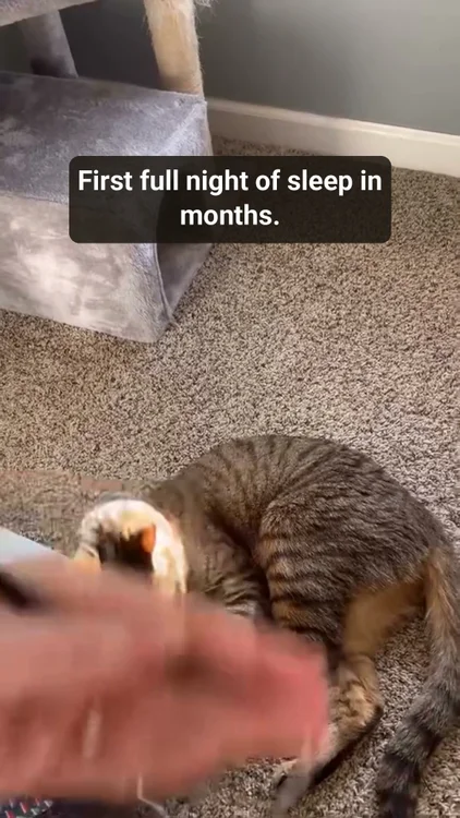 Play them out. Sleep all night.