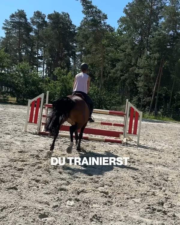 Für Aufbau & Erhalt der Muskulatur