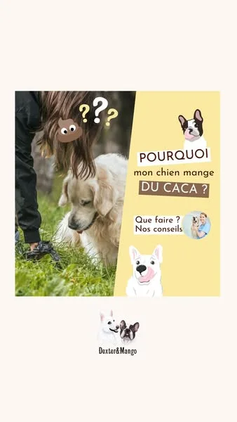 Livraison gratuite dès 59€ 📦