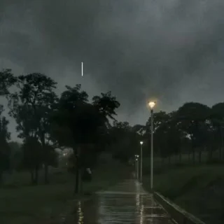 The Scent of Rain