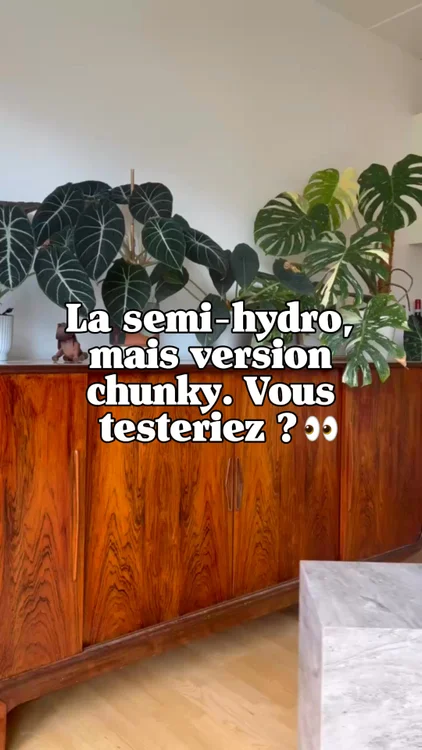 La semi-hydro… mais en version chunky 👀🌱
Plus d’aération, une meilleure gestion de l’humidité et des racines beaucoup plus à l’aise.
Clairement une alternative intéressante pour certaines plantes exigeantes.

👉 Vous testeriez ? 👀