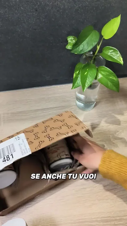 Elimina il Prurito del tuo Cane alla Fonte 👉