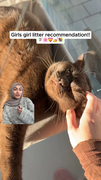 Try Risk-Free Today🐈