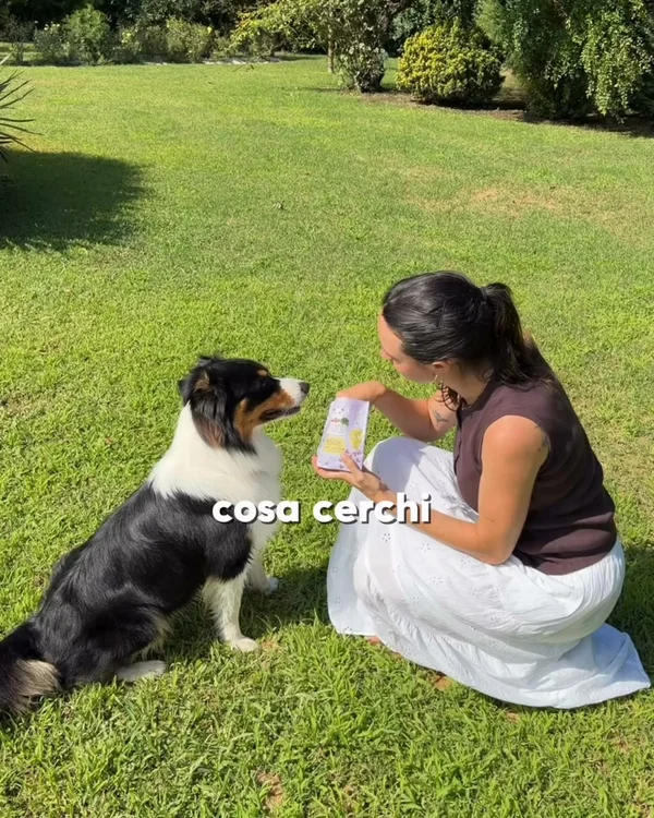Un'alimentazione che il tuo cane amerà