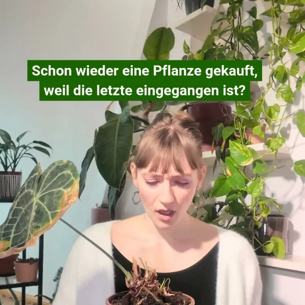 FYTA - Die smarte Pflanzenpflege