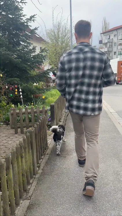 Nur noch 1000 Gratis Wurmtest verfügbar  🐕