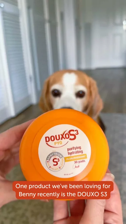 DOUXO S3 is a vet-recommended dermatology range, formulated by leading veterinary dermatologists. Created with pet and owner at the centre of the process.