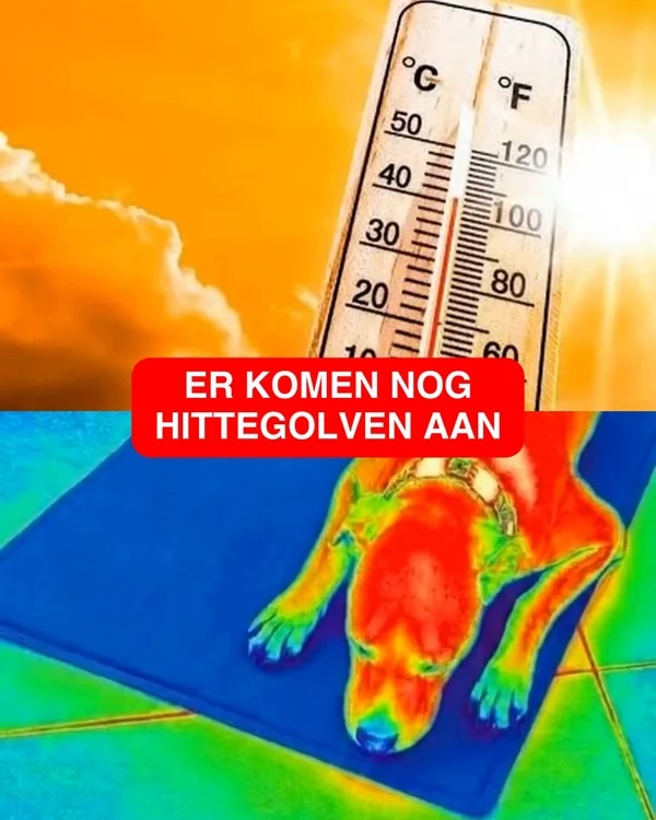 1+1 GRATIS Matten + GRATIS kussen & deken! 🎁