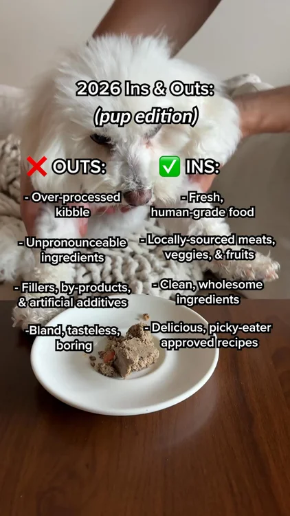 NutriCanine | Get 40% OFF Your First Order