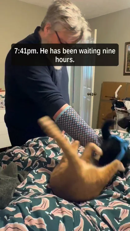 10 Minutes Of Wrestling. Then A Nap.