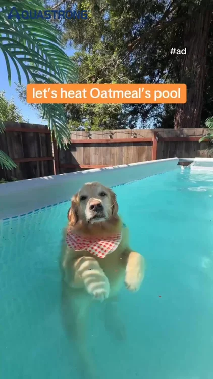 💧 See why pool owners choose AQUASTRONG Heat Pump.

From extending your swim season to enjoying a more comfortable backyard pool, discover how smarter pool solutions make a difference.

📚 Follow AQUASTRONG for expert pool care tips, maintenance guides, and smarter ways to enjoy your backyard oasis.