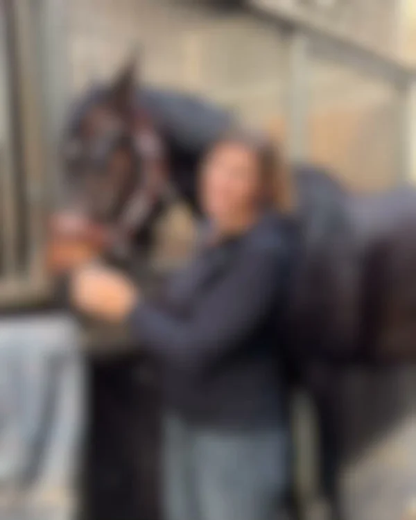 Muskelnahrung für dein Pferd
