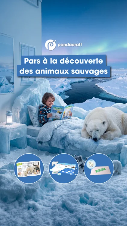 Nouvel abonnement 👉