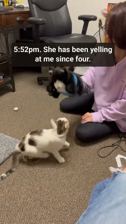 10 minutes. Then nap time.