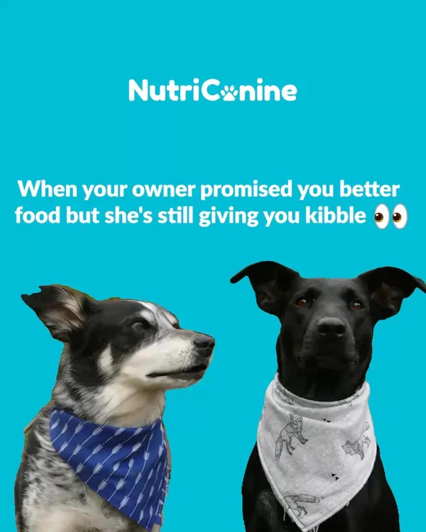NutriCanine | Get 40% OFF Your First Order
