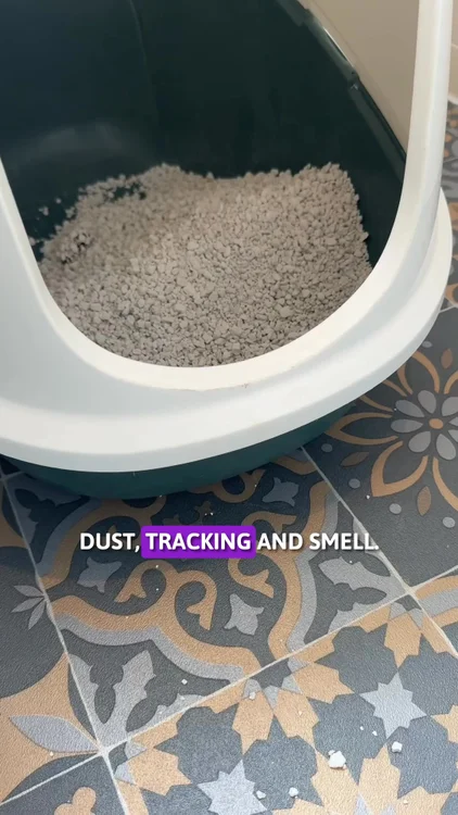 Multi-Cat Clumping Cat Litter