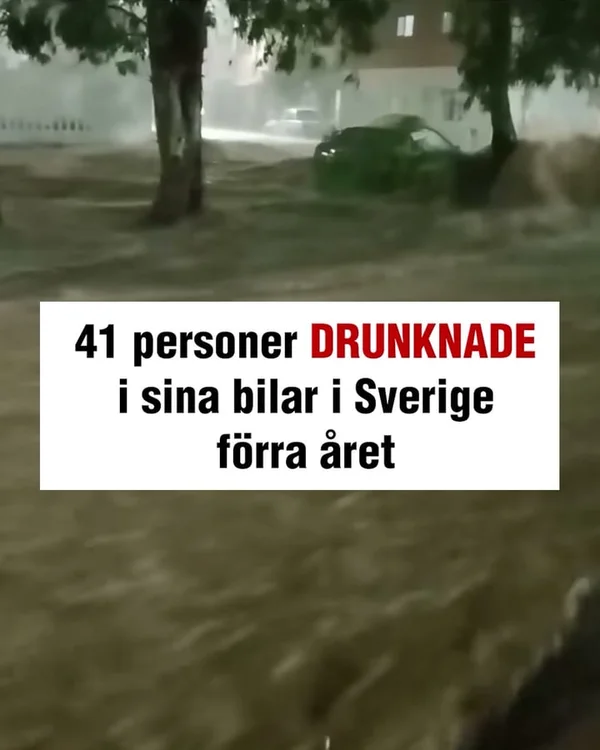 Sista chansen – först till kvarn!