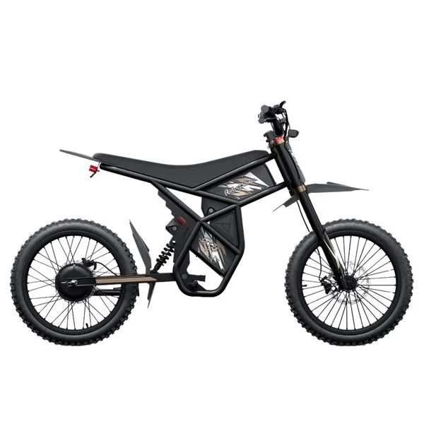 GT73 Pro Electric Motorbike