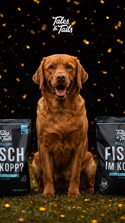Jetzt kostenlos teilnehmen 🤤🐟