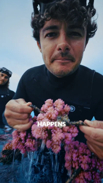 Adopt a Coral, Today! 🙏
