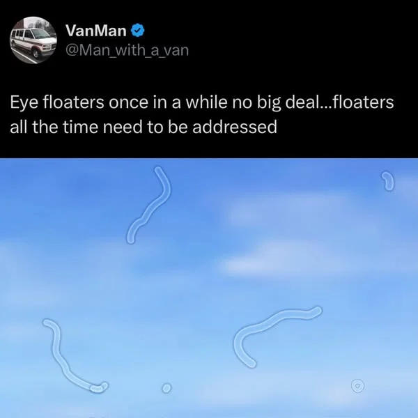 VanMan
