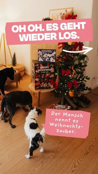24 Türchen. 24 Überraschungen. 🎁