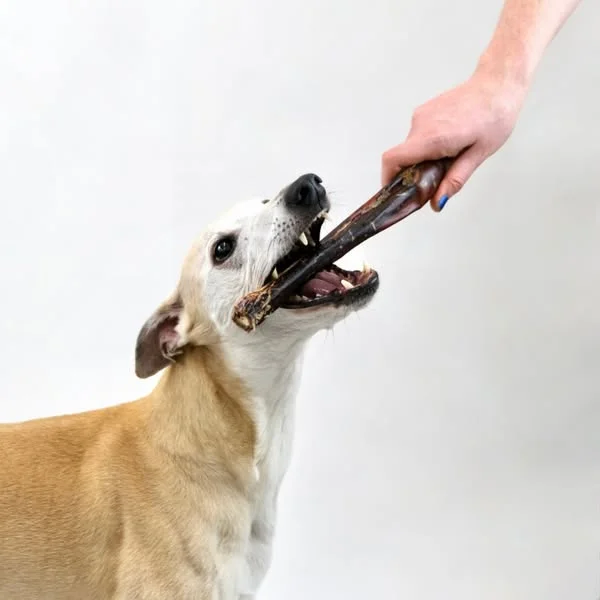Even picky dogs love these