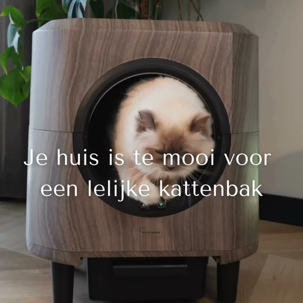 Design kattenbak. Morgen in huis